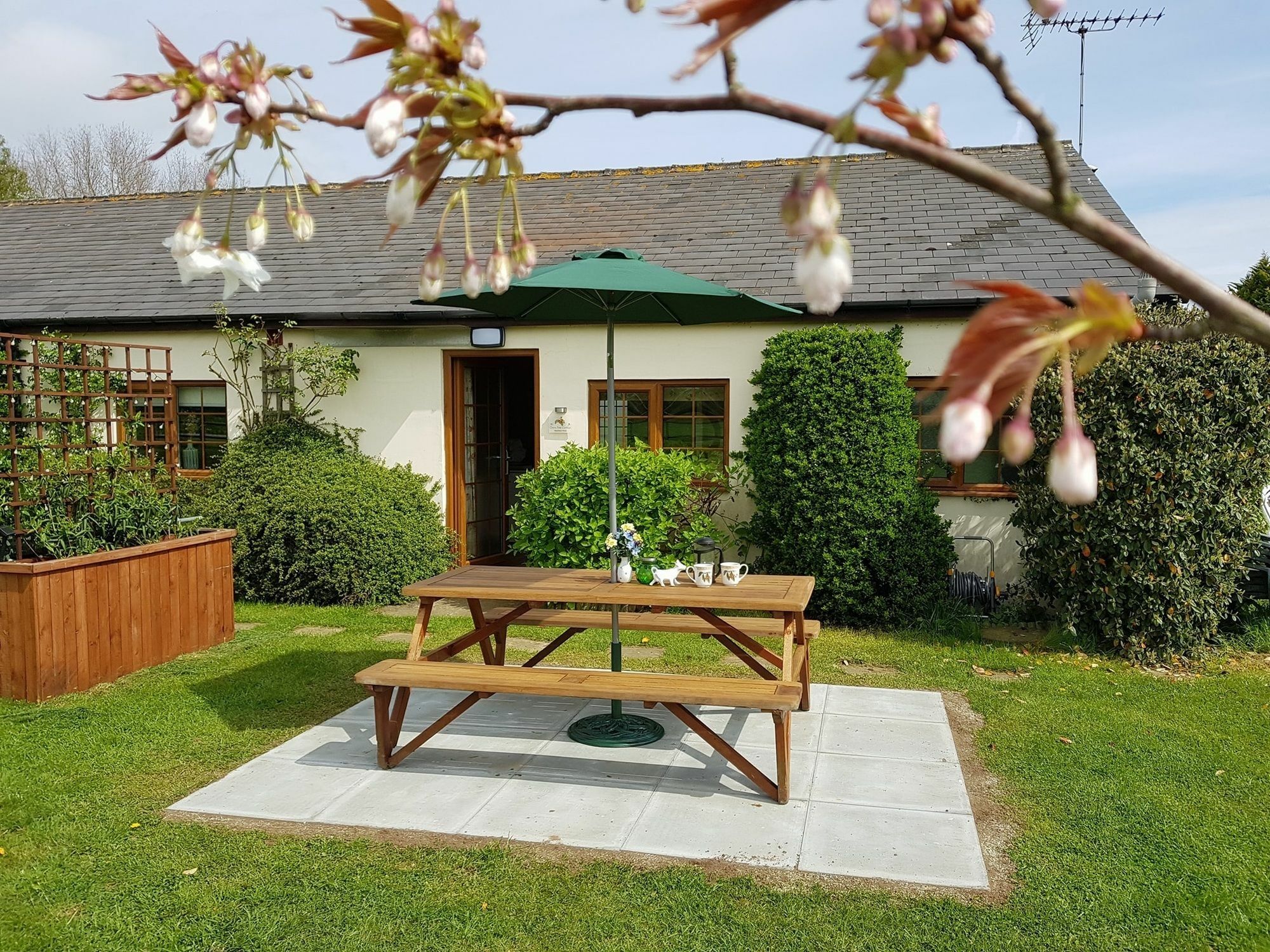Hawthorn Farm Cottages Cantorbéry Extérieur photo